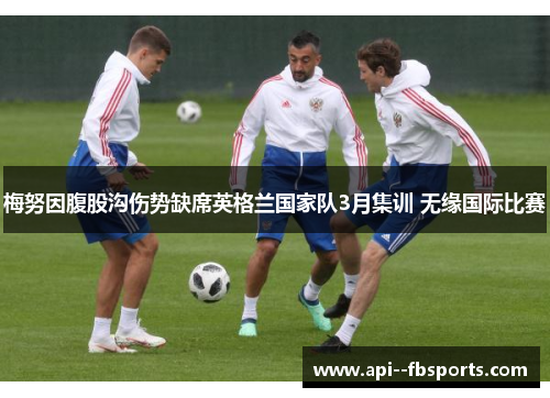 梅努因腹股沟伤势缺席英格兰国家队3月集训 无缘国际比赛 梅努因腹股沟伤势缺席英格兰国家队3月集训 无缘国际比赛