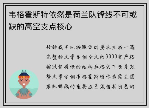 韦格霍斯特依然是荷兰队锋线不可或缺的高空支点核心